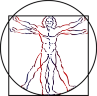 Vitruvian Man