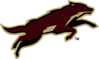 Phoenix Coyotes