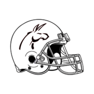 IPN Burros Blancos_casco