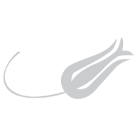 Turk Hava Yollari - THY - Lale Motifi