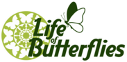 Life of Butterflies