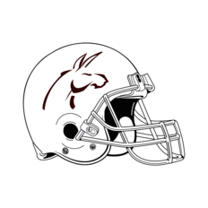 IPN Burros Blancos_casco