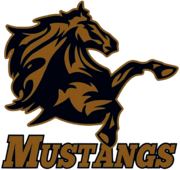 Dallas Mustangs Cricket Team 