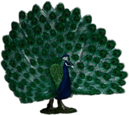 Peacock With Open Tail Figurine