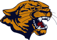 Edinburg North Cougars
