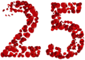 25th Anniversary Rose Petals
