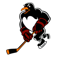 Wilkes-Barre Scranton Penguins