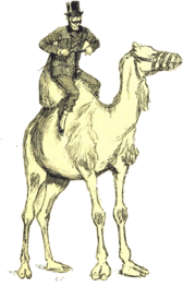 Victorian Man On Camel