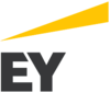 E&Y Ernst and Young grey 
