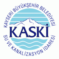 kaski