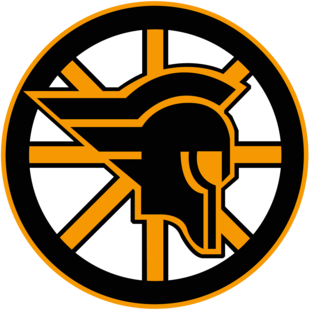 Troyanos UDEM Hockey