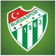 Bursaspor Timsah