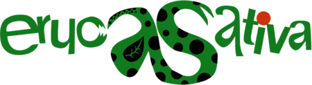 Eruca Sativa