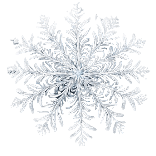 Swirl-patterned Snowflake