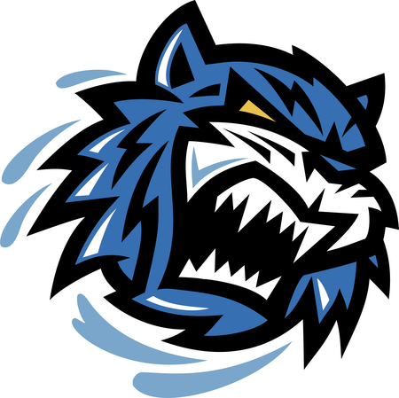 Bridgeport Sound Tigers