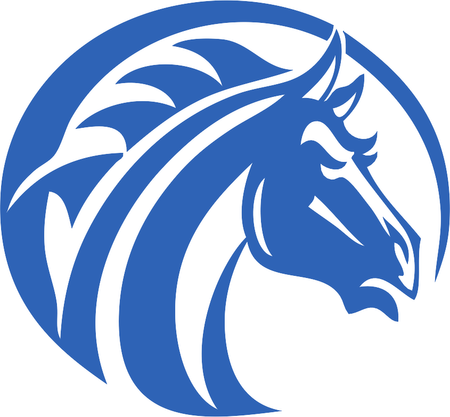 Fayetteville State Broncos