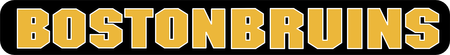 Boston Bruins