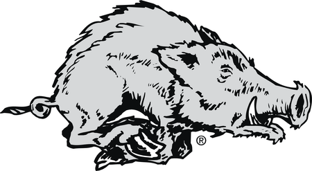 Arkansas Razorback