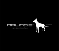Malinois Belgium Dog