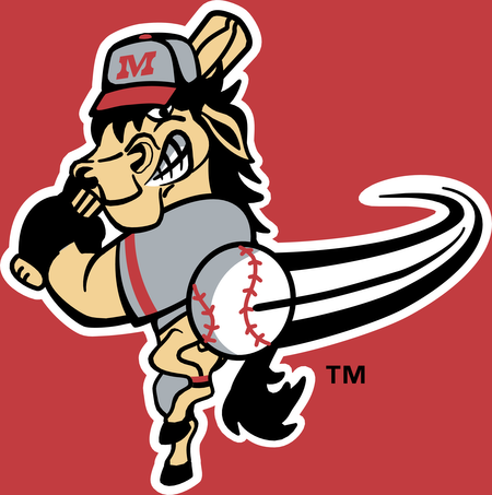 Billings Mustangs