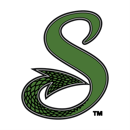 Shreveport Swamp Dragons