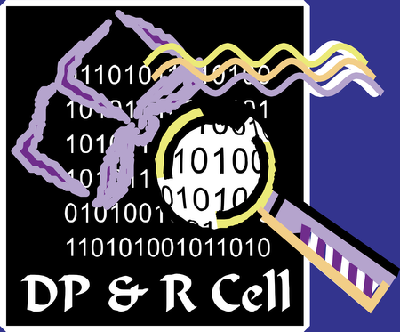 DP & R Cell
