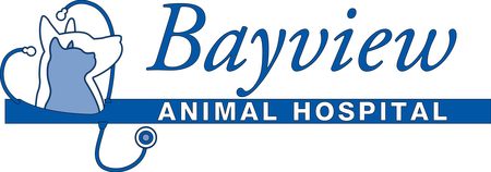 Bayview Animal Hospital