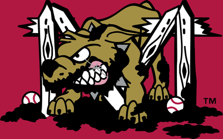 Batavia Muckdogs