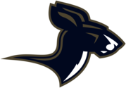 Akron Zips