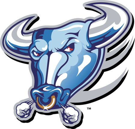 Buffalo Bulls