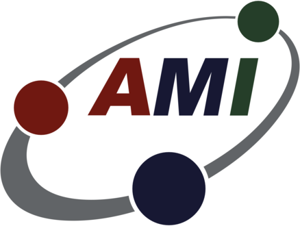 AMI Partners