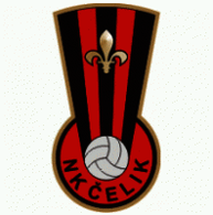 Miejski Klub Piłkarski Carina Gubin