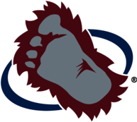 Colorado Avalanche