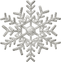 Silver Snowflake