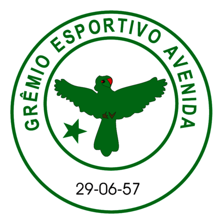 Gremio Esportivo Avenida de Soledade