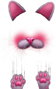 Snapchat Filter Kitten