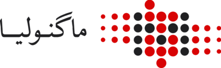 ماگنولیا آژانس تبلیغاتی