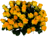 Bunch Of Yellow Roses
