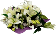 Lilies Bouquet
