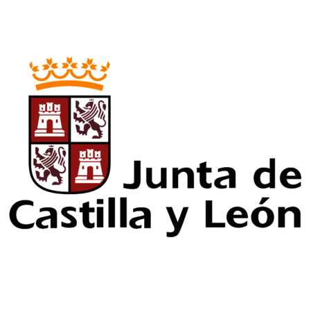 Junta de Castilla y Leon