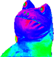 MLG Frog