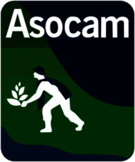 Asocam