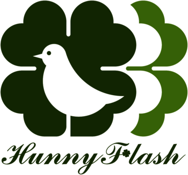 HunnyFlash