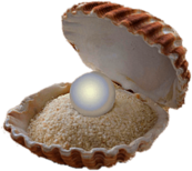 Pearl on A Sandbed In A Shell