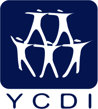 "Youth Center for Democratic Initiatives" NGO