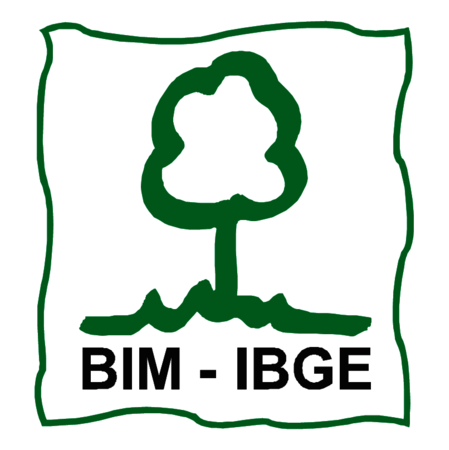 BIM-IBGE