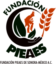 Fundacion Pieaes