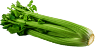 Celery