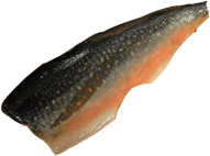 Salmon