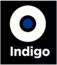 Reporte Indigo